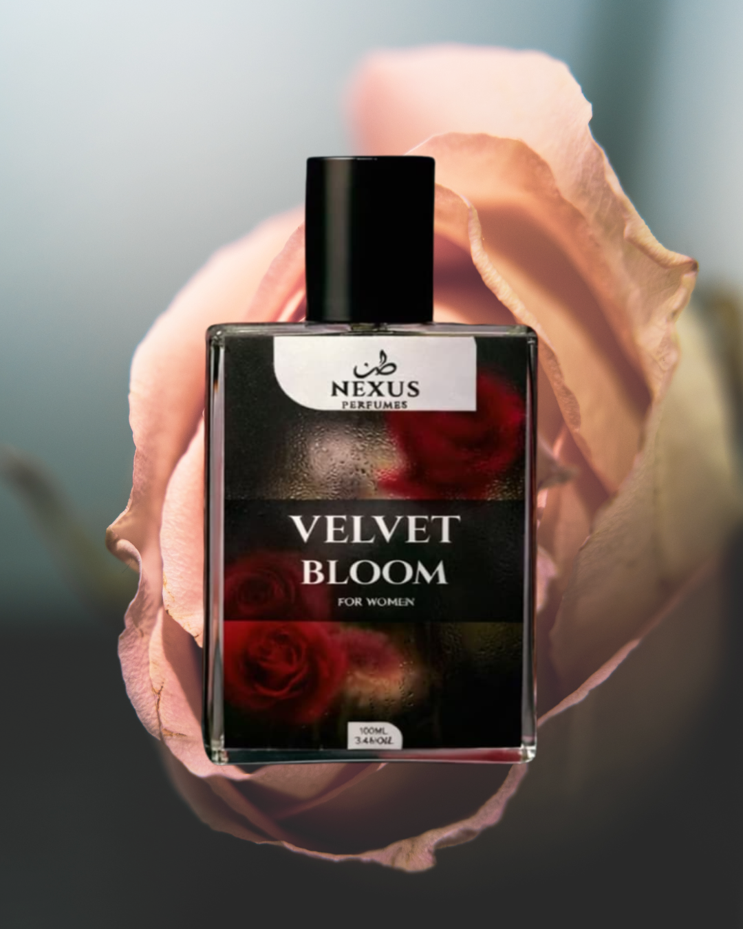VELVET BLOOM - INSPIRED BY J'ADORE